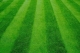 Synthetic Lawns Florida Synthetic Grass Synthetic Lawns Florida Synthetic Grass