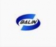 China Balin Power Co Ltd China Balin Power Co Ltd